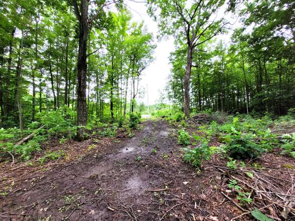 0 Spry RD, Stirling-rawdon, ON K0K 3E0