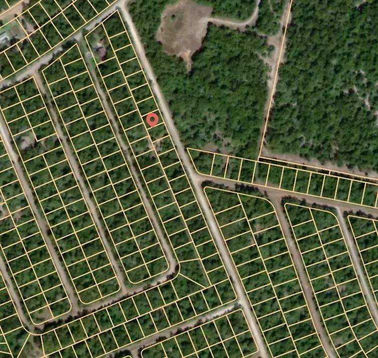 Normangee, TX 77871,Lot 8 Hickory Ridge Drive