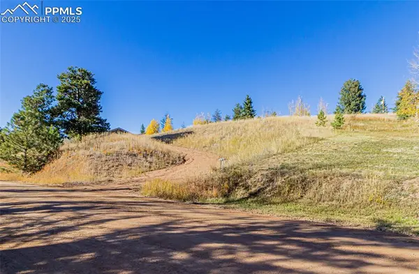 Woodland Park, CO 80863,300 Apache TRL