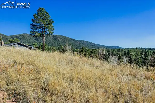 Woodland Park, CO 80863,300 Apache TRL