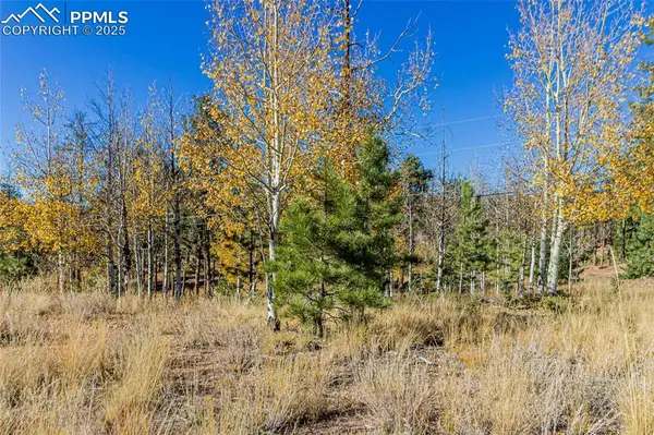 Woodland Park, CO 80863,300 Apache TRL