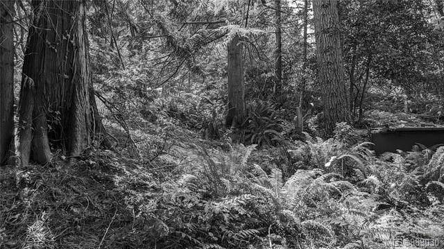 Protection Island, BC V9R 6R1,28 Captain Morgans Blvd