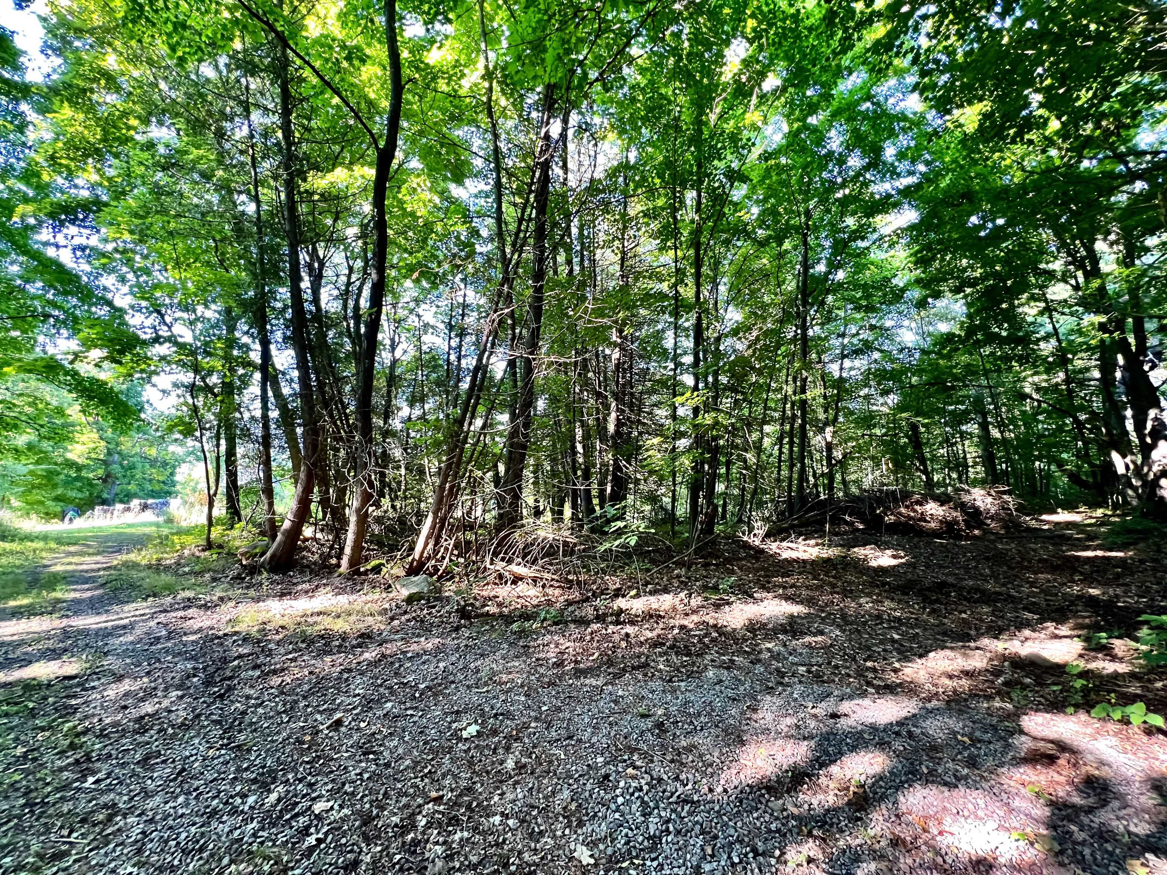 Bonnechere Valley, ON K0J 1T0,0 Elgin ST