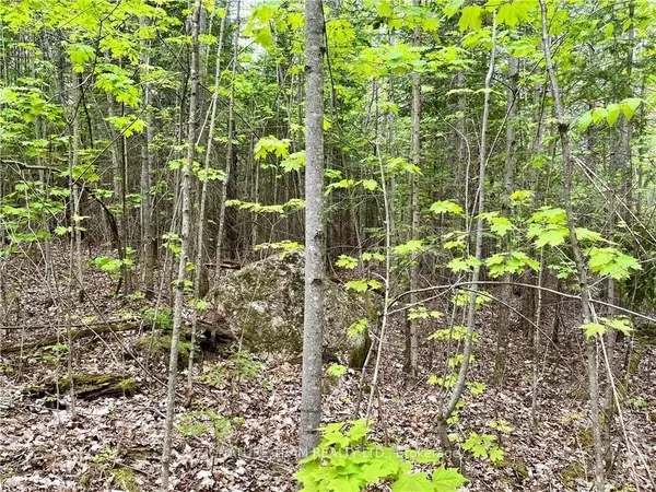 Bonnechere Valley, ON K0J 1T0,122 WESTERN DR