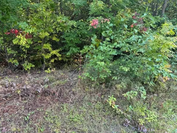 West Nipissing, ON P0H 1M0,Lot 2 LaPlage RD