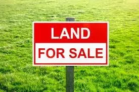 Lot 5 Stella's Place, Deer Lake, NL A8A3K4