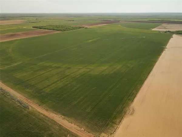 Rochester, TX 79544,120 Acres CR 174