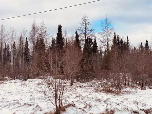 Cochrane, ON P0L 1C0,LOT 25 KENNEDY RD