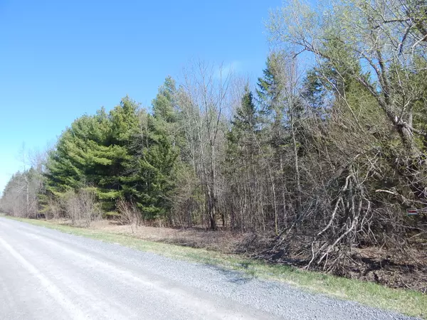 South Stormont, ON K0C 1Y0,00 Raymond RD
