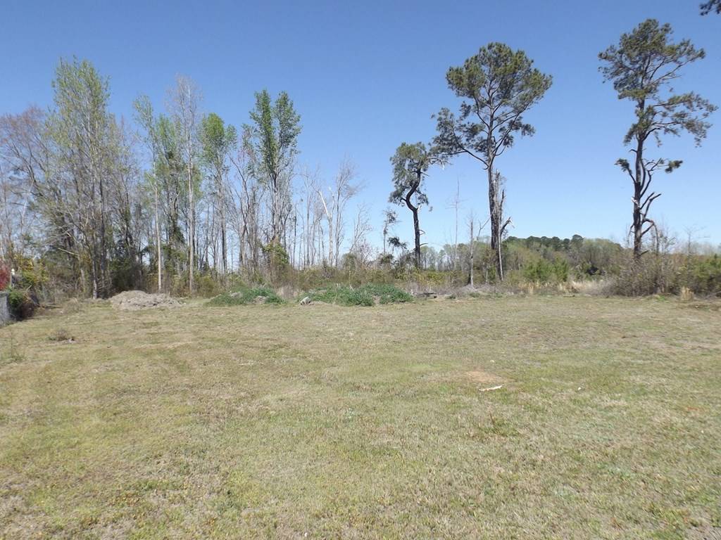 Summerton, SC 29148,TBD Governor Richardson Road