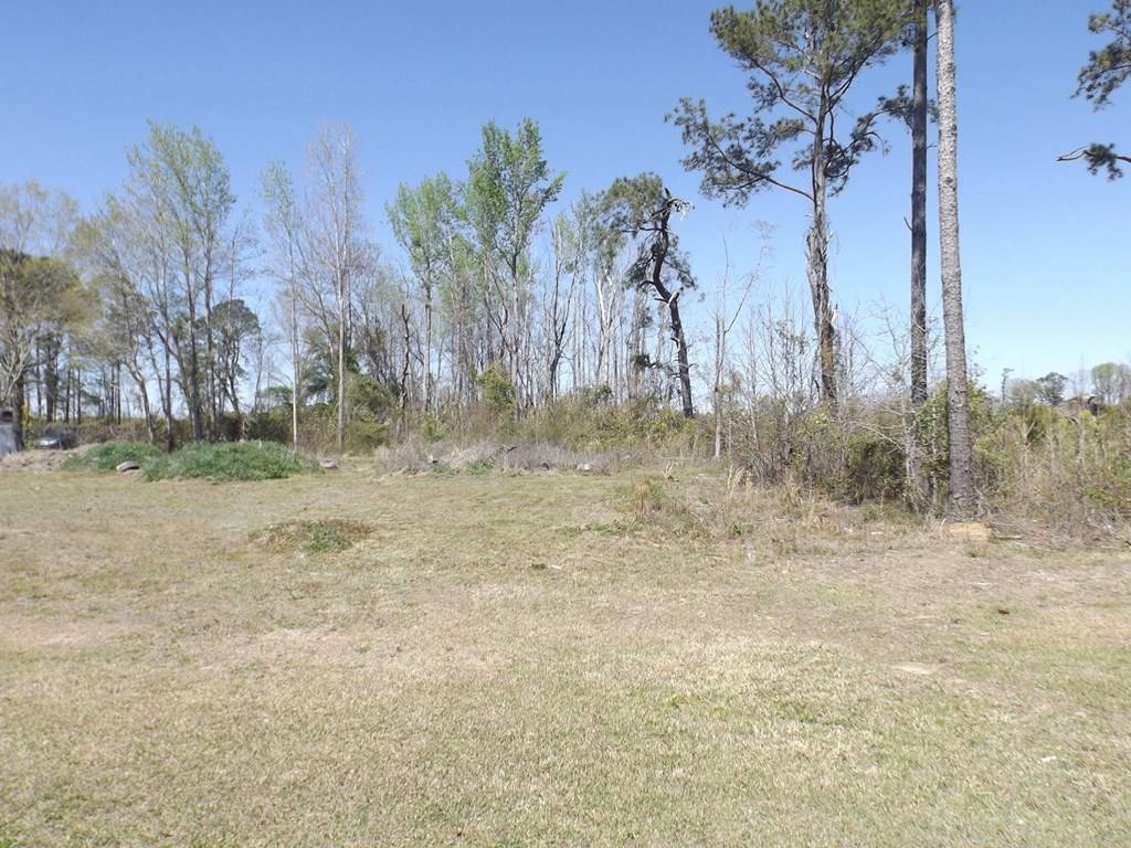 Summerton, SC 29148,TBD Governor Richardson Road
