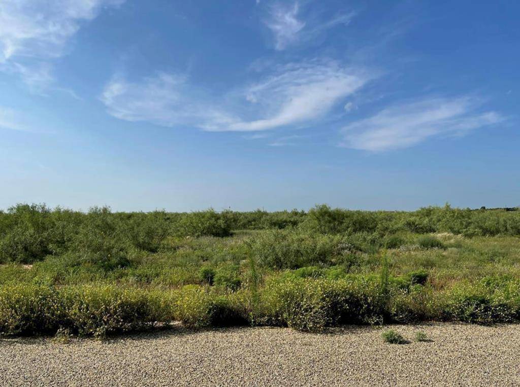 Midland, TX 79706,13801 County Rd 113