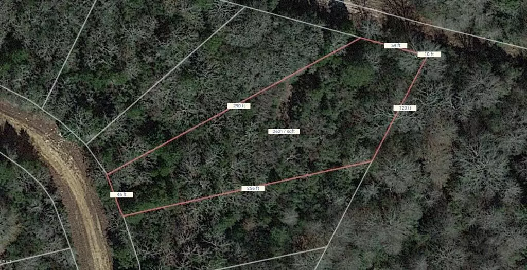 Lot 47 Austin Colony Drive, Normangee, TX 77871