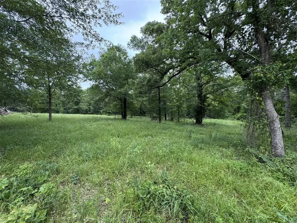 Emory, TX 75440,TBD Rs County Road 3360