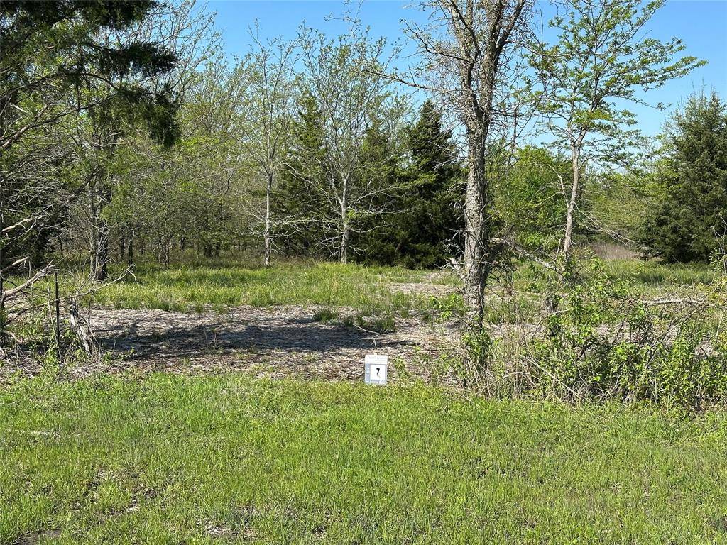 Tract 7 Farm to Market 1743, Honey Grove, TX 75446
