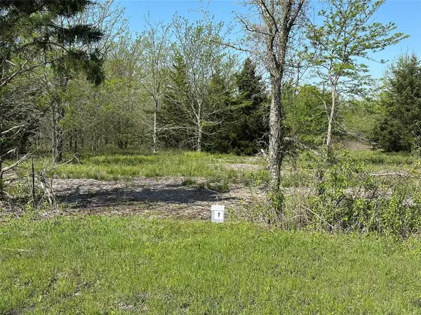 Honey Grove, TX 75446,Tract 7 Farm to Market 1743