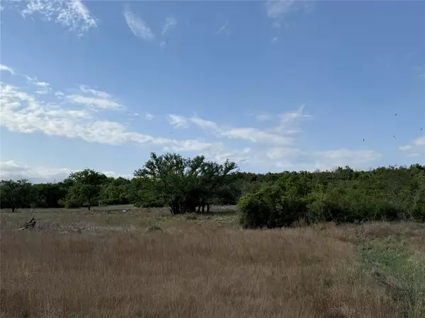 Hamilton, TX 76531,Tract 21 Indian Spring