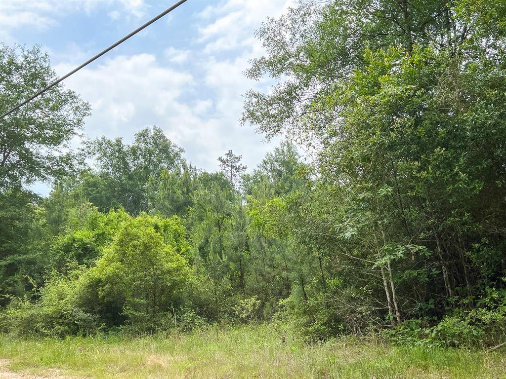 Silsbee, TX 77656,05 Old Arco Rd
