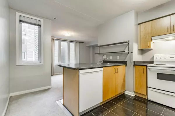 Toronto C01, ON M6K 3M5,27 Canniff ST #516