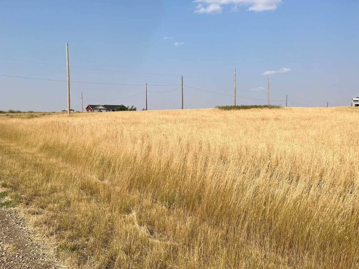 Bow Island, AB T0K 0G0,578 Alberta ST