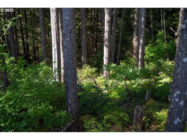 0 Eagle St, Ilwaco, WA 98624