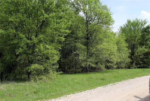 Lone Oak, TX 75453,TBA Scenic Drive