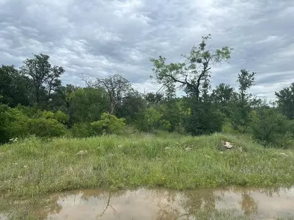 Graford, TX 76449,101 Bald Eagle Court