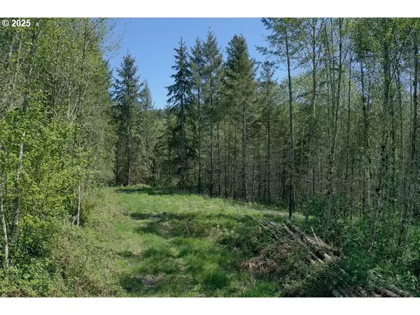 Yacolt, WA 98675,0 NE Elliott RD #66