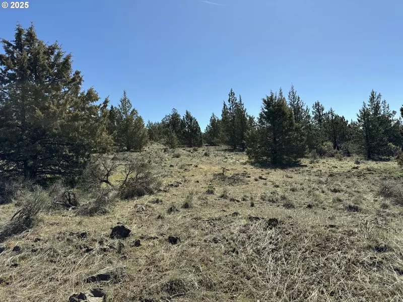 Bluebill Lane #Lot 3, Bonanza, OR 97623