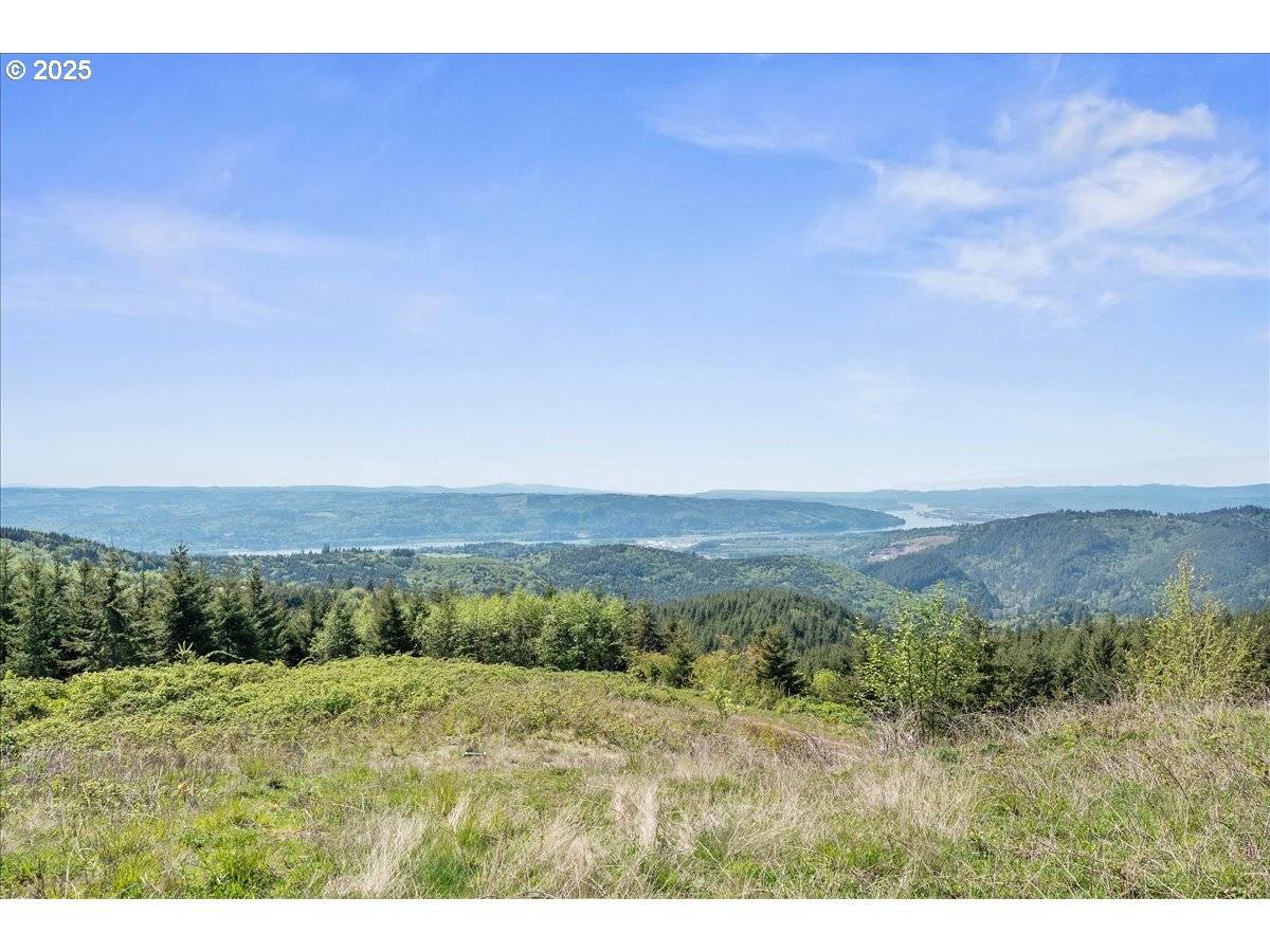 Kalama, WA 98625,0 Lot 6 Garnet RD