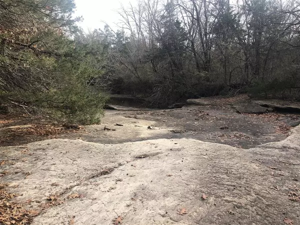 Honey Grove, TX 75446,Tract 6 County Road 24900 Road