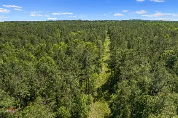 Princeton, LA 71067,0 Highway 157