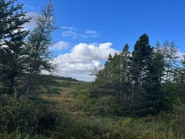 0 Main Road, Markland, NL A0B 3K0