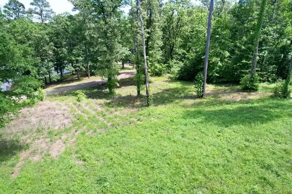 Scroggins, TX 75480,TBD Private Road 4403