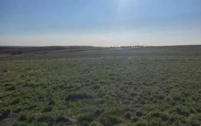 De Winton, AB T0L 0X0,48051 295 AVE East