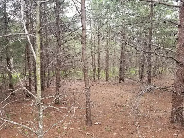 Spout Spring, VA 24593,0 Spring Grove RD