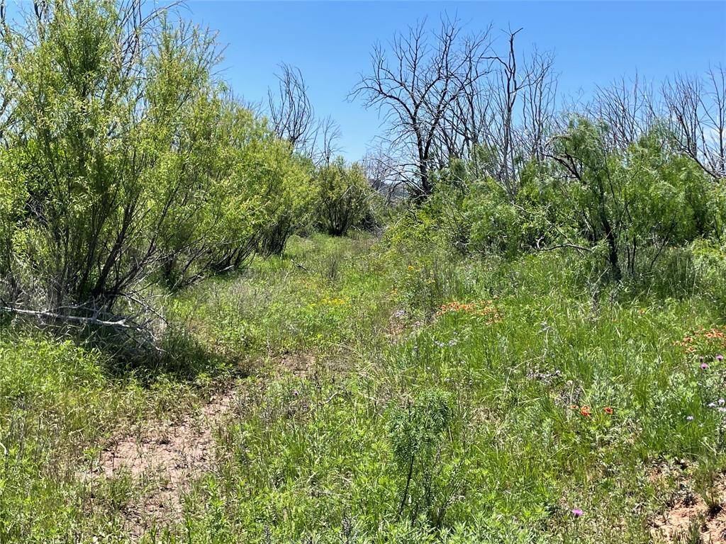 Merkel, TX 79536,TBD 100 acres CR 343