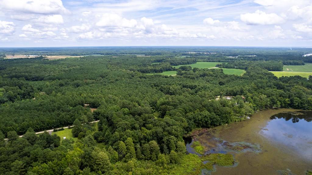 Summerton, SC 29148,0 Jasper Lane Tract #5