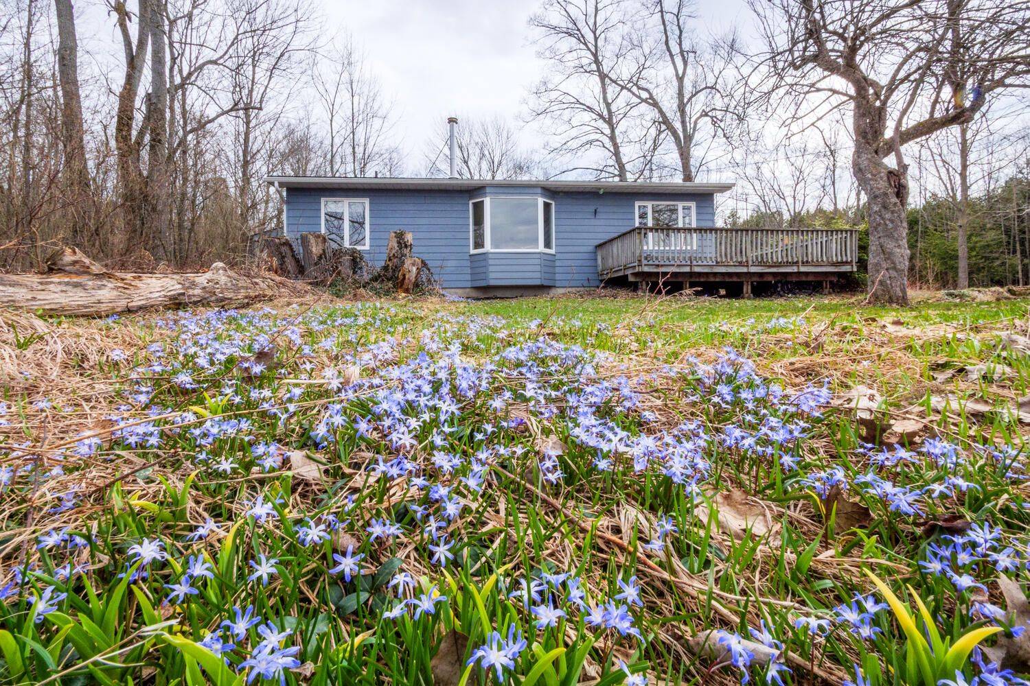 South Bruce Peninsula, ON N0H 2T0,65 Lawrence RD