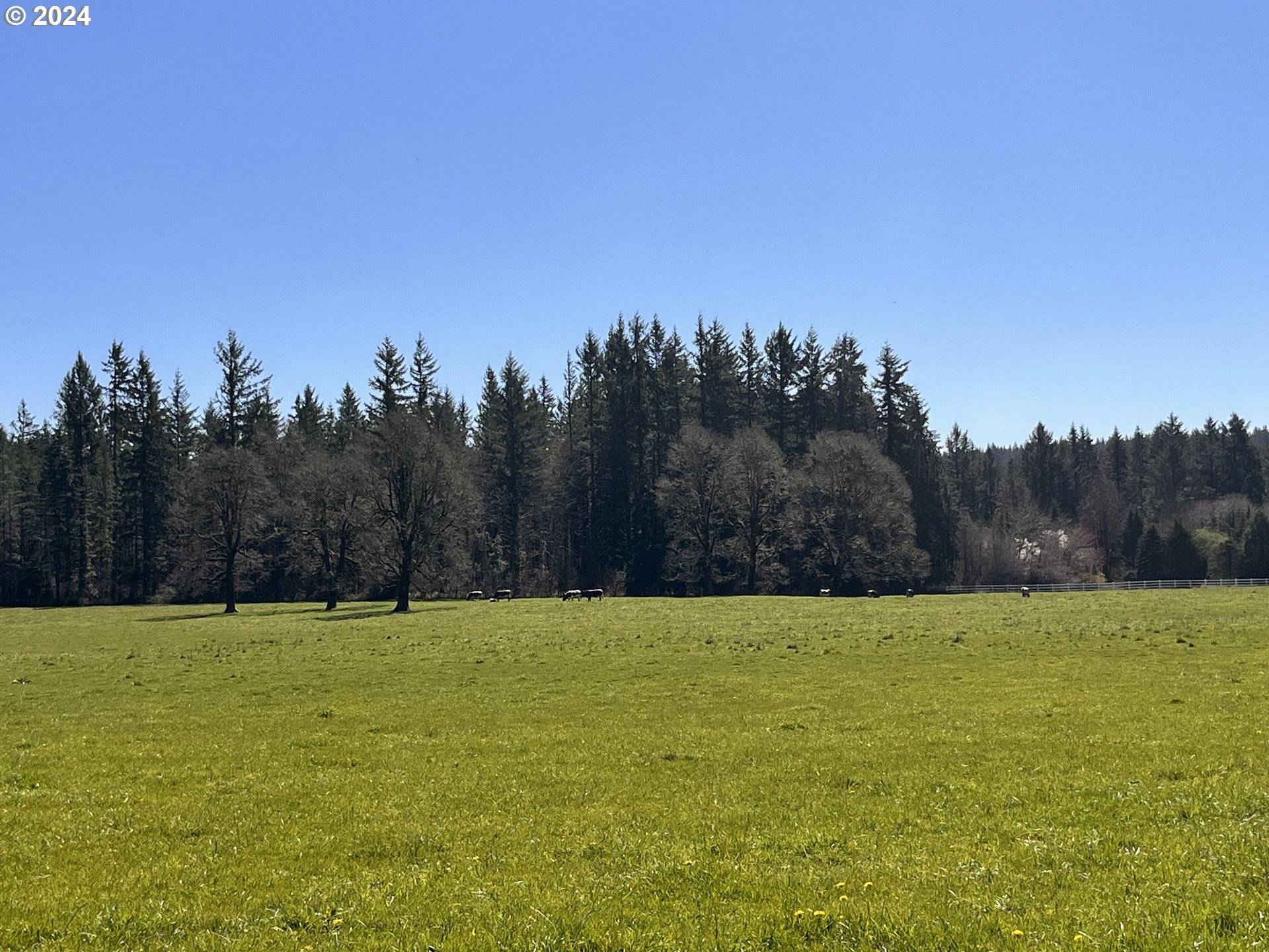 Battle Ground, WA 98604,212th AVE