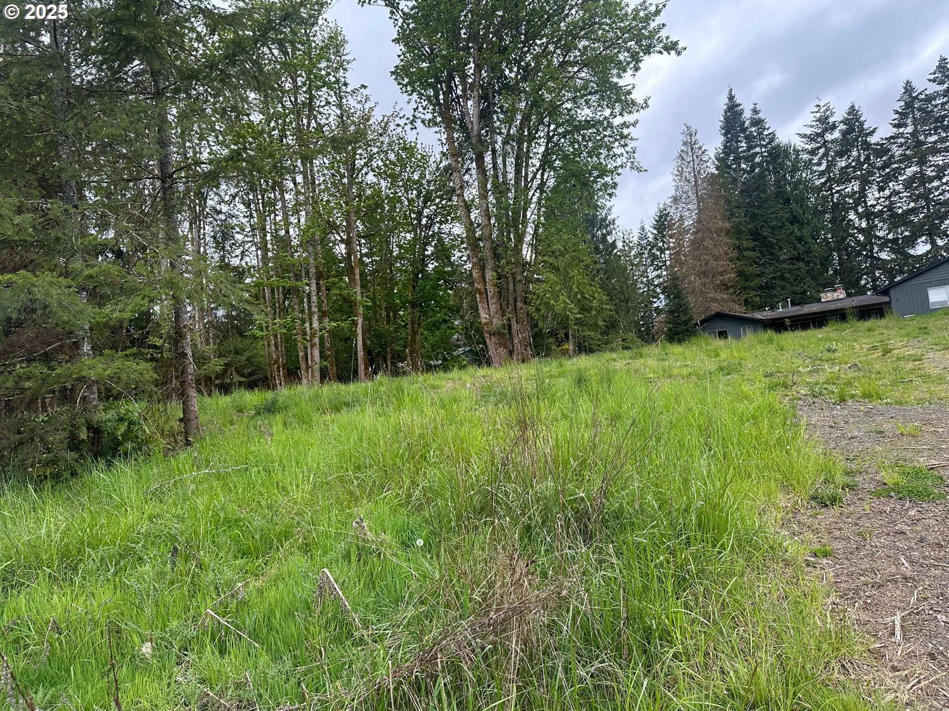 Vernonia, OR 97064,Oregon Tax ID 436205 AVE