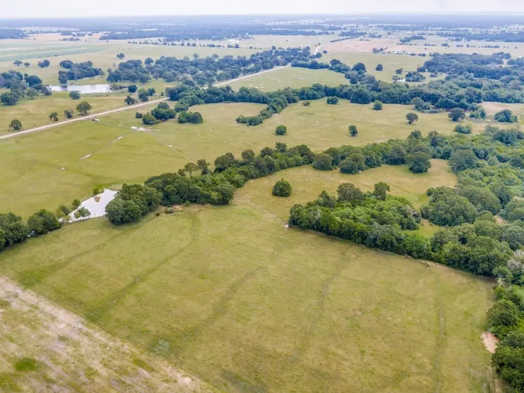 Ivanhoe, TX 75447,TBD FM-1396