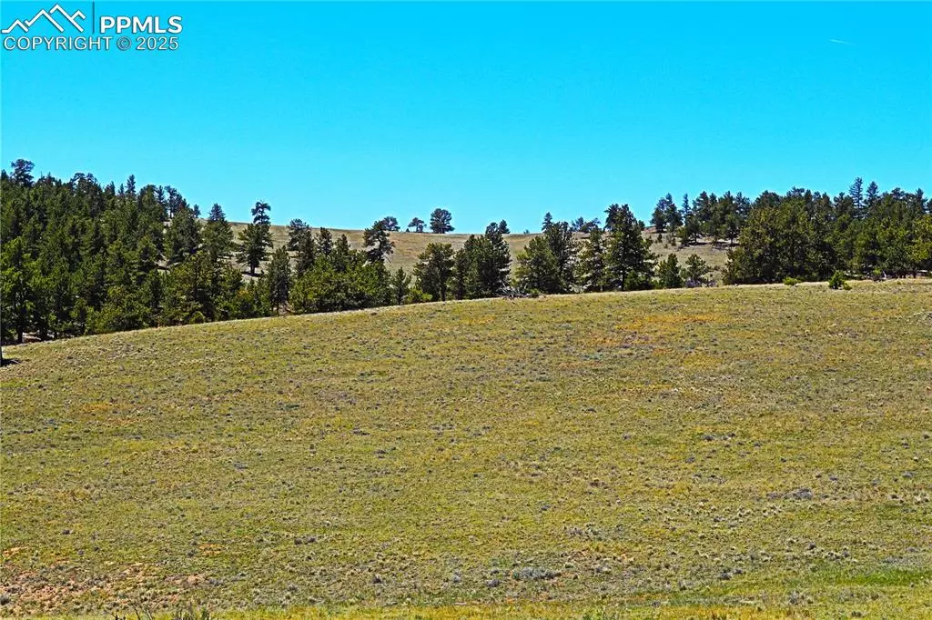 Fairplay, CO 80440,32210 Highway 9