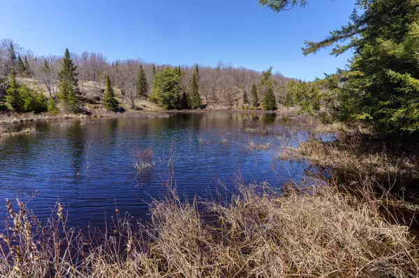 Lake Of Bays, ON P0A 1B0,LT32C9 Concession Line Concession
