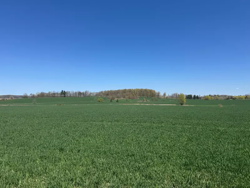 5512 3rd Line, New Tecumseth, ON L0G 1W0