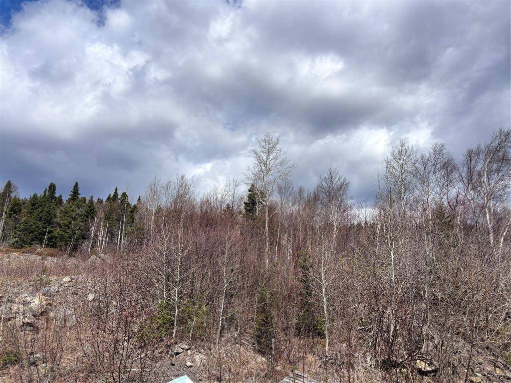 Lot 3 Glenview Estates Extension, Clarenville, NL A5A4H1