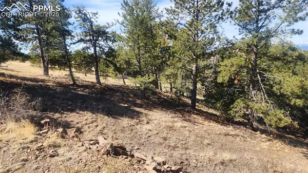 Cripple Creek, CO 80813,406 Burns DR