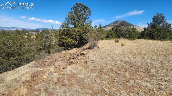 Cripple Creek, CO 80813,406 Burns DR