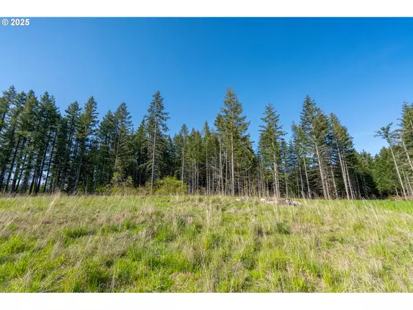 Scotts Mills, OR 97375,2333 CROOKED FINGER RD