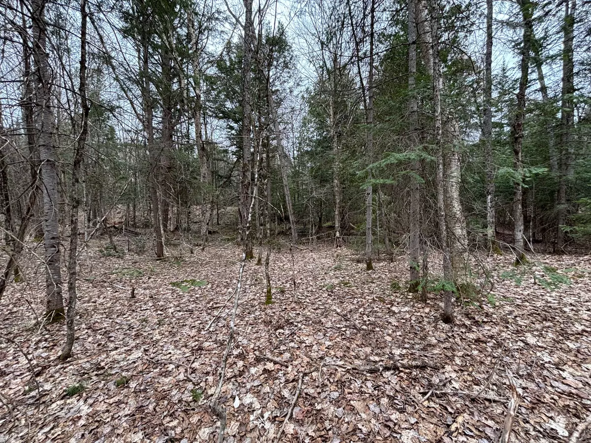 Mcdougall, ON P2A 2W7,Lot 1 Loch Erne RD